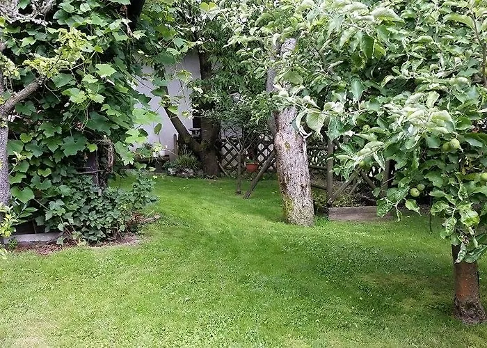 Tatjana Apartma Ljubljana